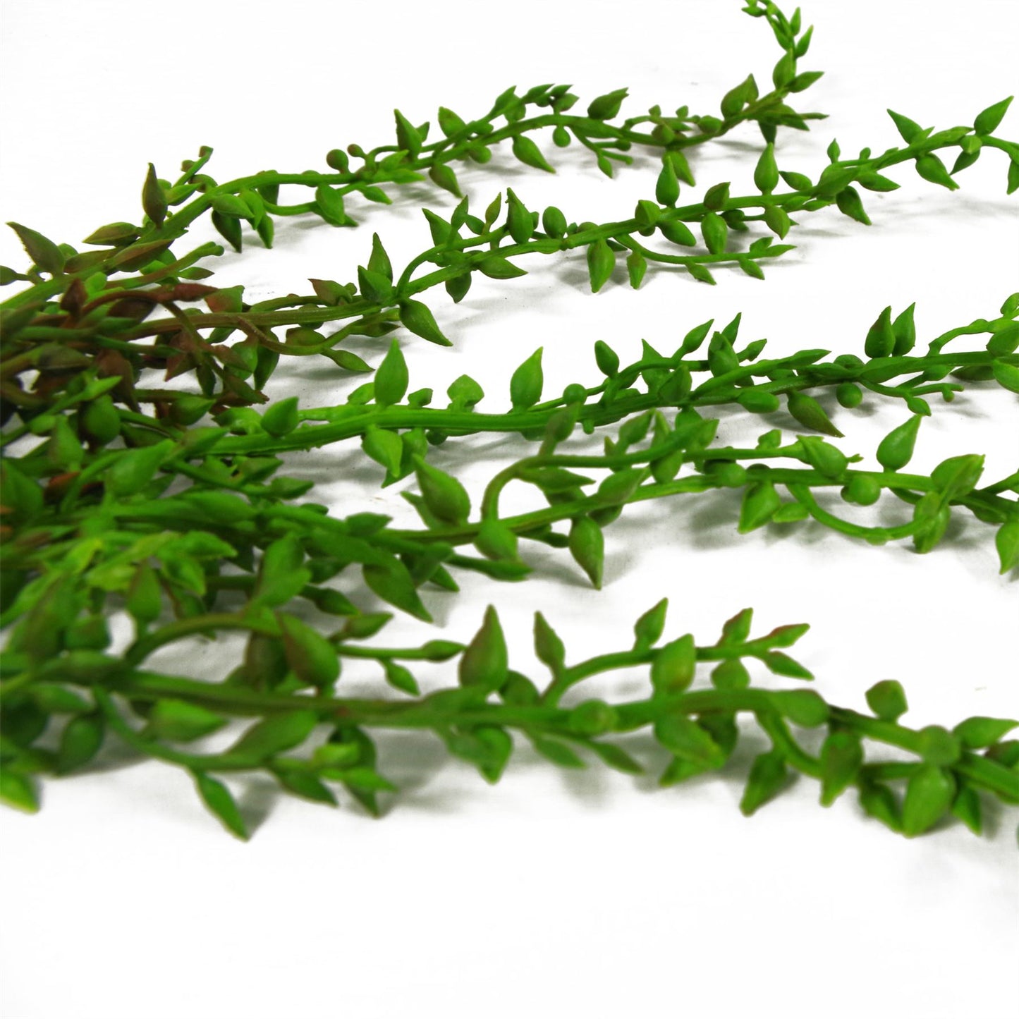 6 x 58cm Small Artificial Hanging & Trailing Climbing Fig – Realistic Ficus Pumila Faux Plants