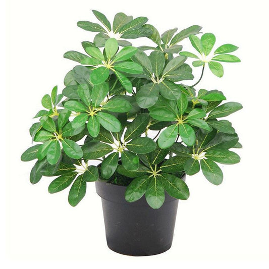 55cm Small Compact Artificial Dark Green Umbrella Plant – Realistic Schefflera Arboricola