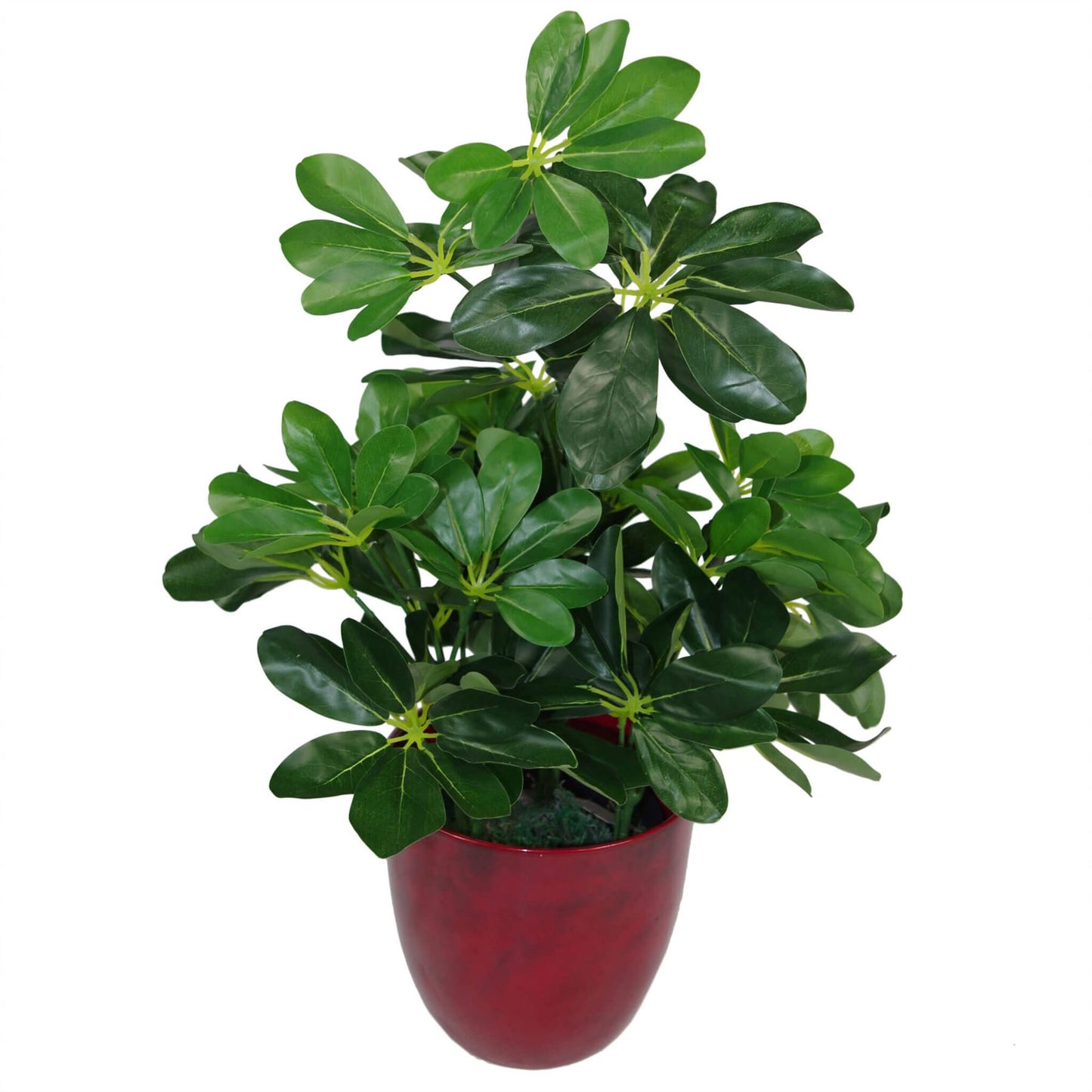 55cm Small Compact Artificial Dark Green Umbrella Plant – Realistic Schefflera Arboricola
