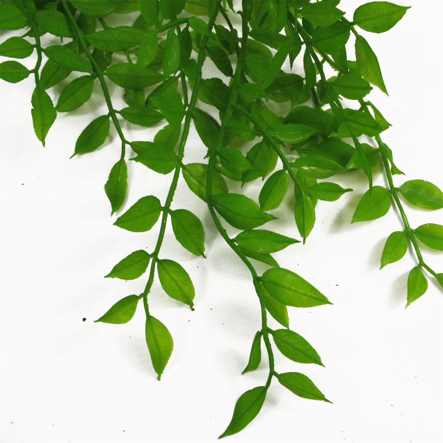 6 x 100cm Large Artificial Hanging & Trailing String of Pearls Fern – Realistic Light Green Faux Plants