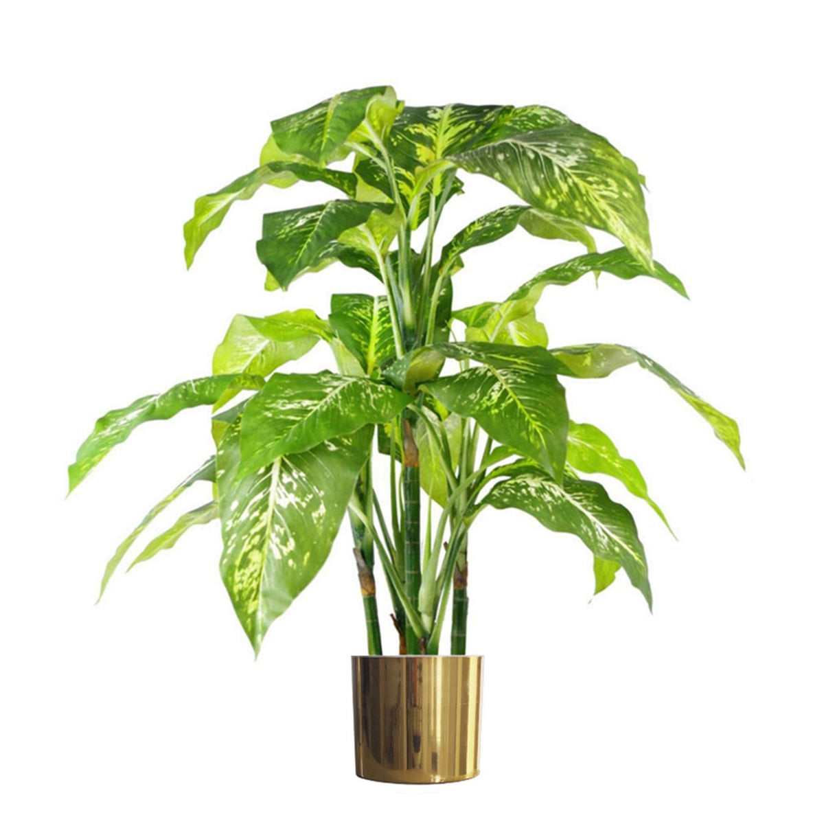 100cm Large Artificial Aglaonema Plant – Fox's Spotted Evergreen with Realistic Green Foliage and Gold Planter