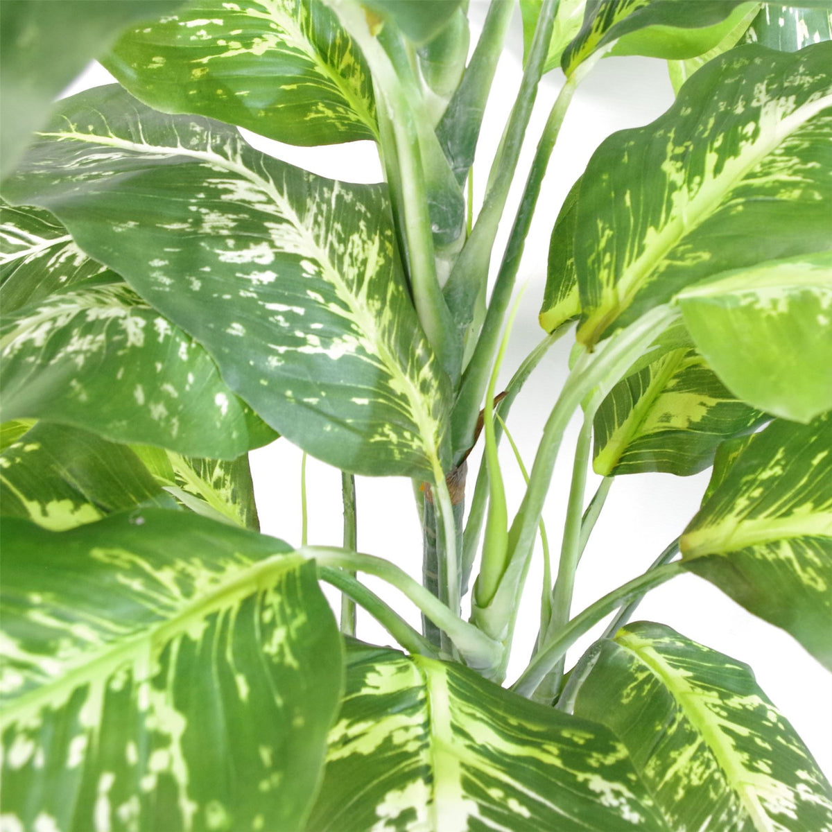 100cm Large Artificial Aglaonema Plant – Fox's Spotted Evergreen with Realistic Green Foliage and Gold Planter