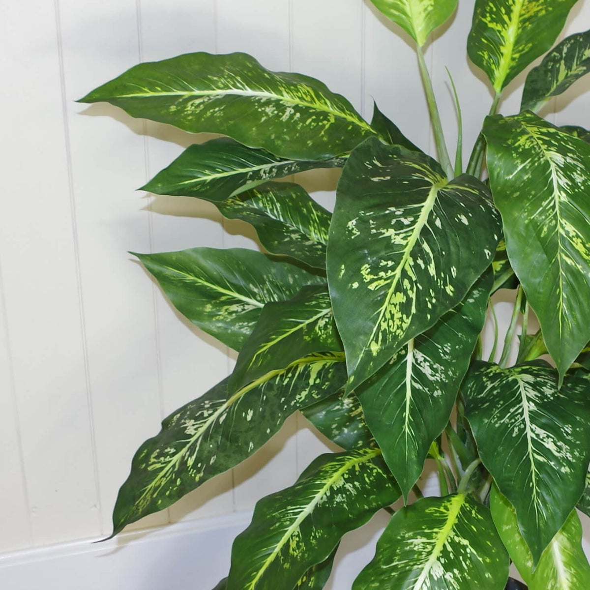 100cm Large Artificial Aglaonema Plant – Fox's Spotted Evergreen with Realistic Green Foliage and Gold Planter