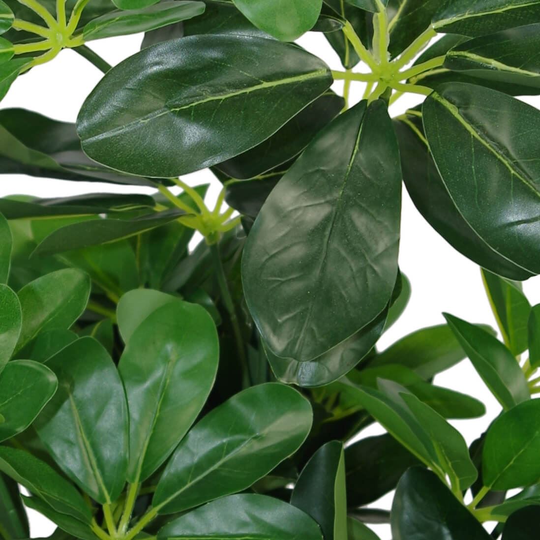 55cm Small Artificial Dark Green Umbrella Plant – Realistic Schefflera Arboricola