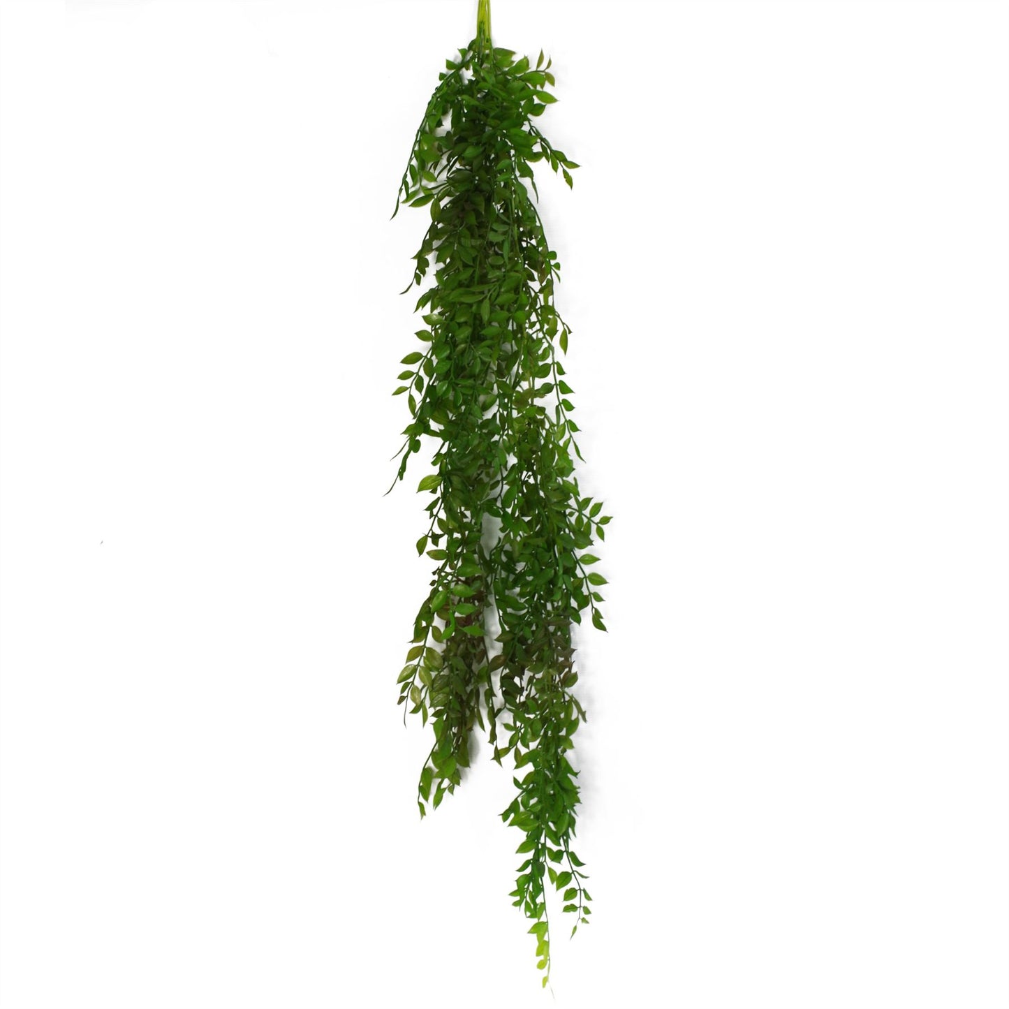 6 x 100cm Large Artificial Hanging & Trailing String of Pearls Fern – Realistic Dark Green Faux Plants