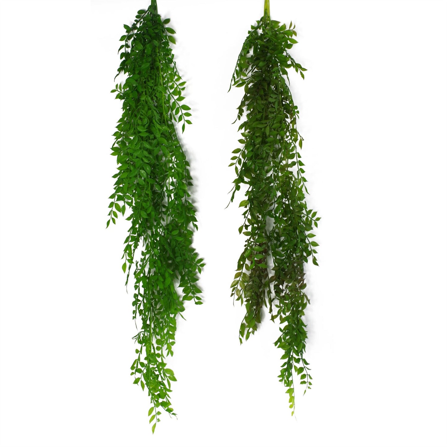 6 x 100cm Large Artificial Hanging & Trailing String of Pearls Fern – Realistic Dark Green Faux Plants