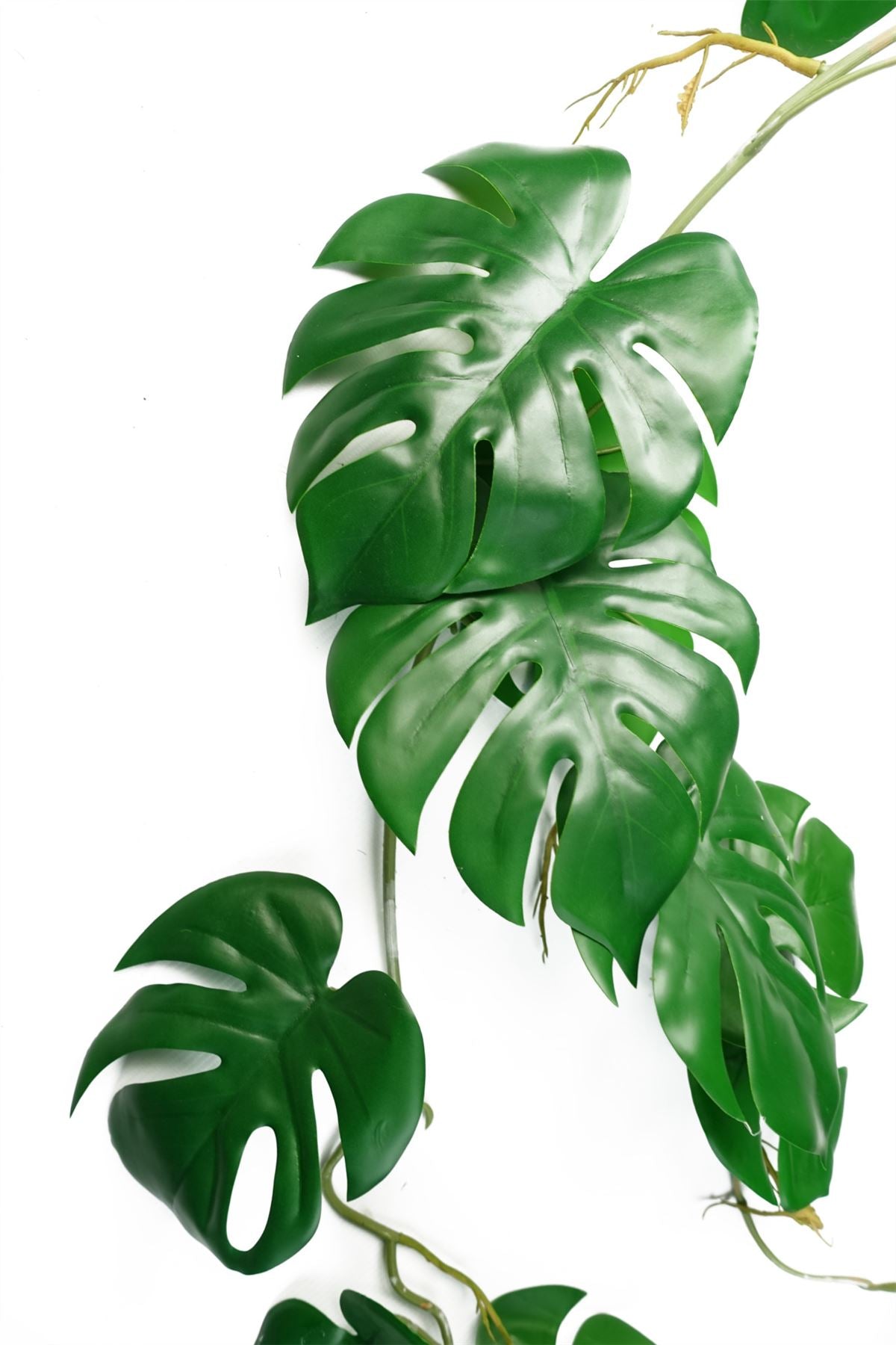 6 x 100cm Large Artificial Hanging & Trailing Monstera Plants – Realistic Tropical Greenery