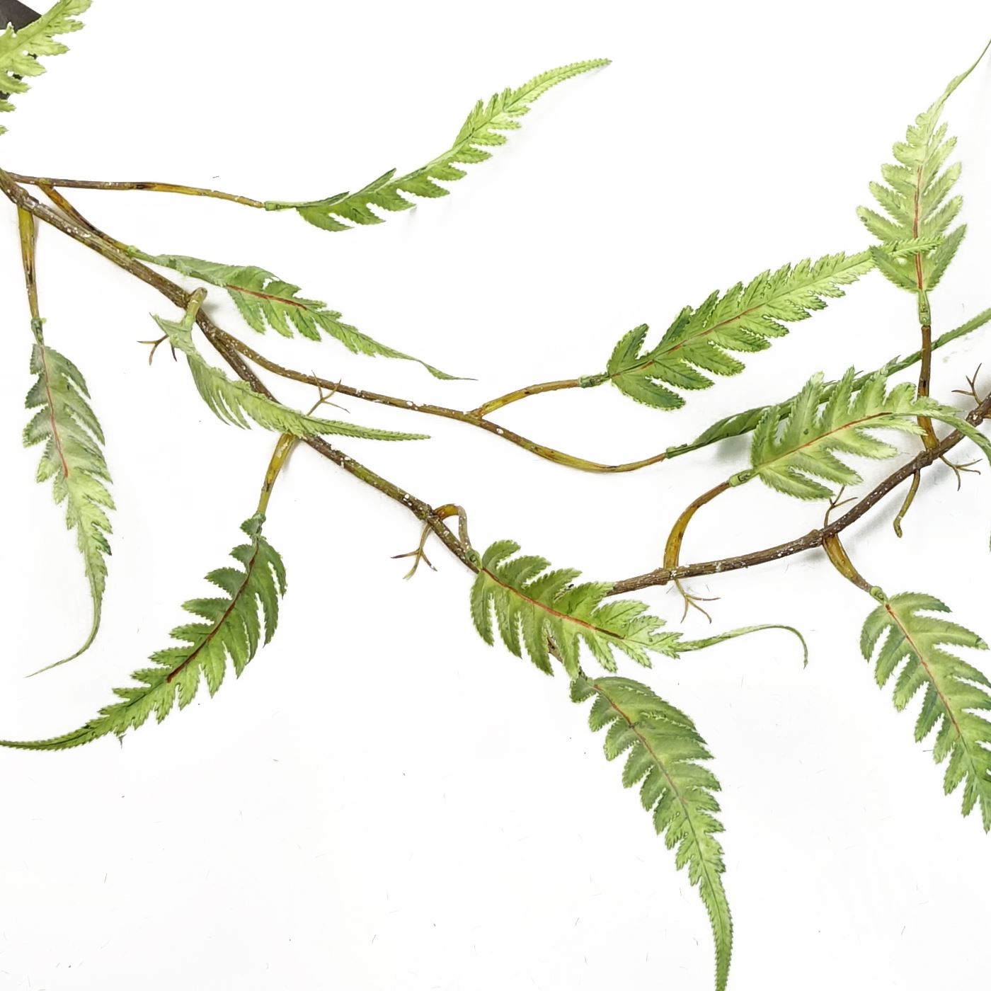 6 x 125cm Large Hanging Artificial Fern Foliage Plants – Trailing Faux Fern Set