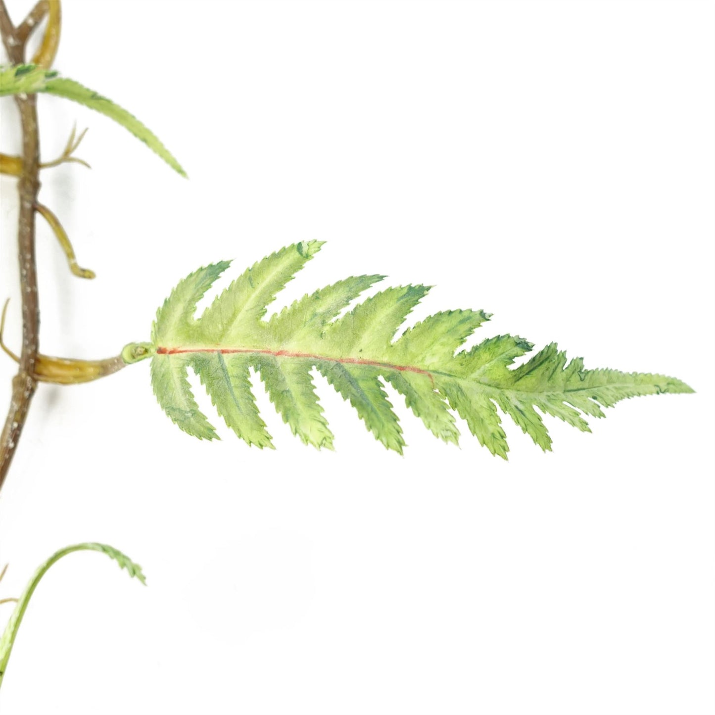 6 x 125cm Large Hanging Artificial Fern Foliage Plants – Trailing Faux Fern Set
