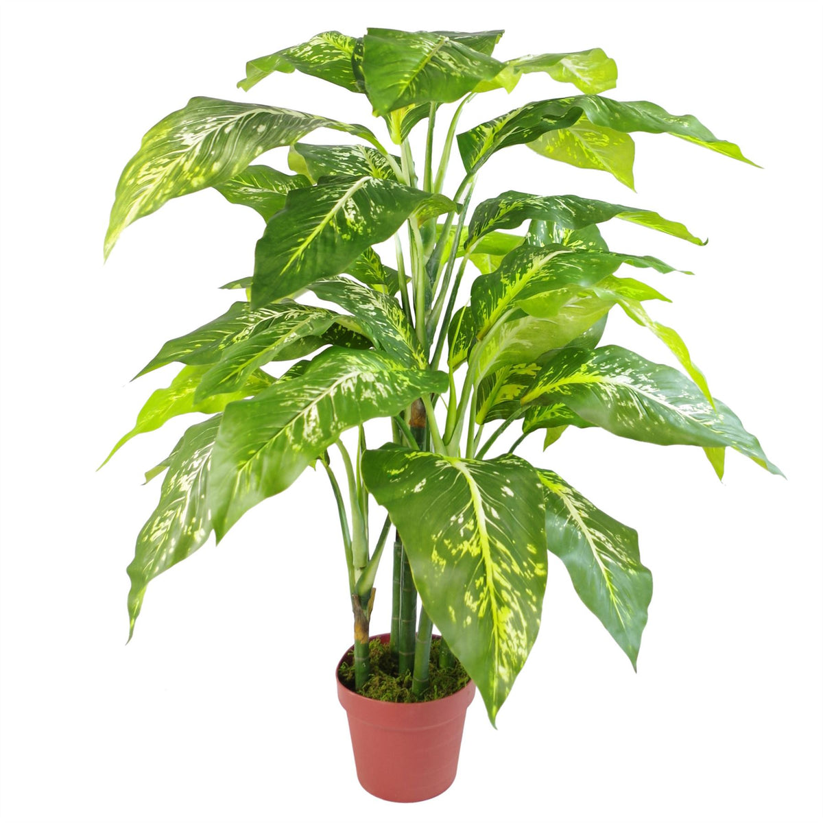 100cm Large Artificial Aglaonema Plant – Fox's Spotted Evergreen with Realistic Green Foliage and Silver Planter