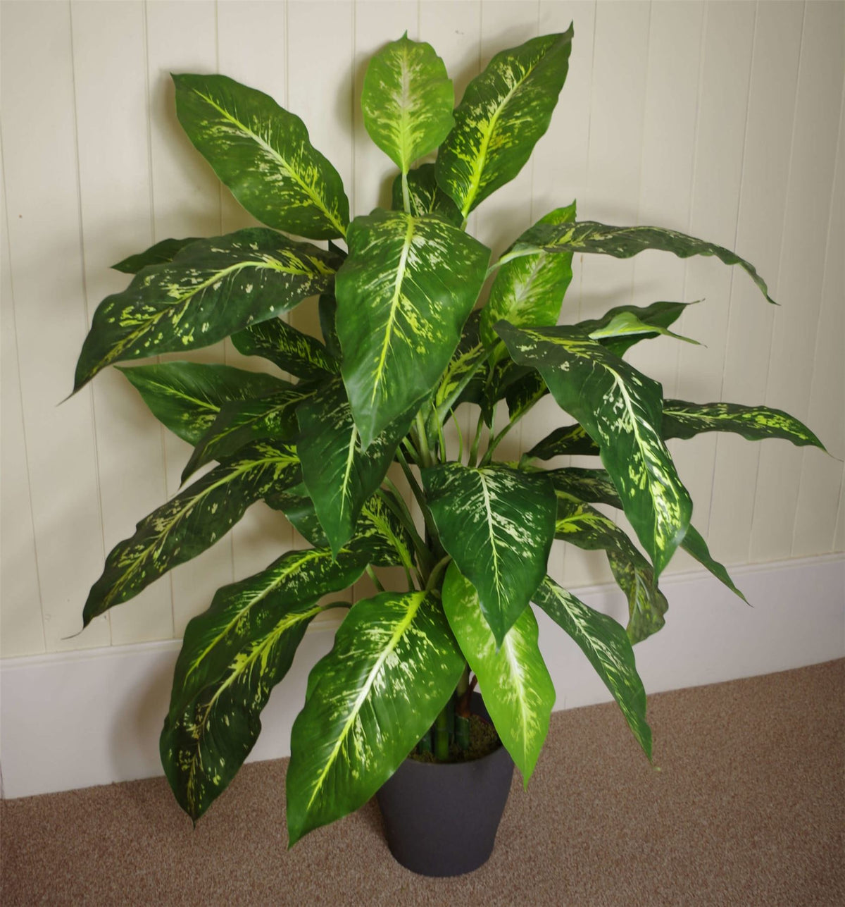 100cm Large Artificial Aglaonema Plant – Fox's Spotted Evergreen with Realistic Green Foliage and Silver Planter