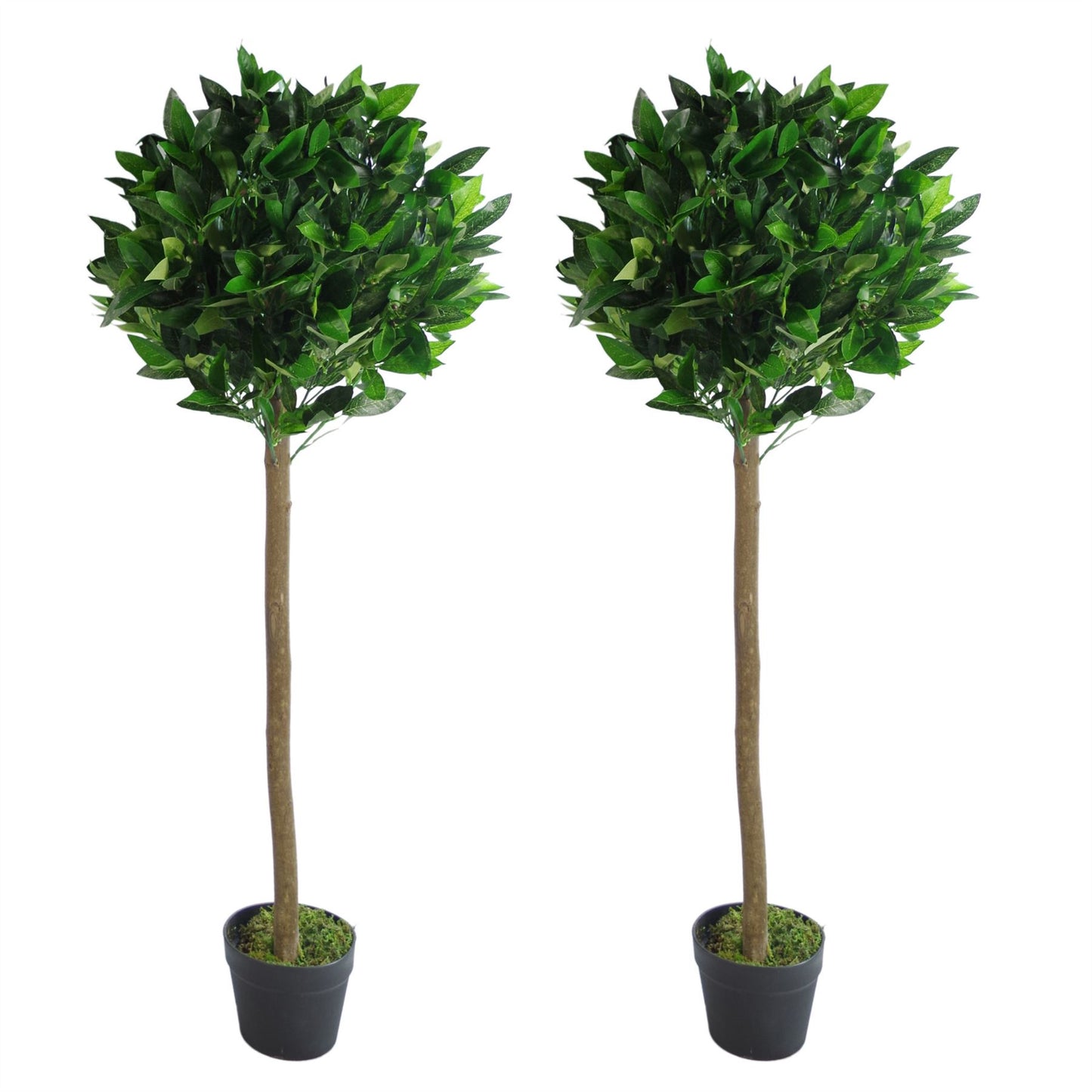 Pair of 120cm Medium Artificial Bay Laurel Ball Trees – Plain Natural Trunks Topiary for Home or Office