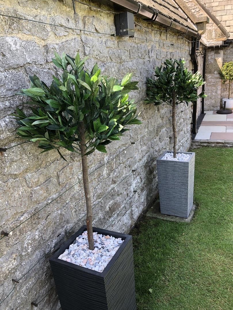 Pair of 120cm Medium Artificial Bay Laurel Ball Trees – Plain Natural Trunks Topiary for Home or Office