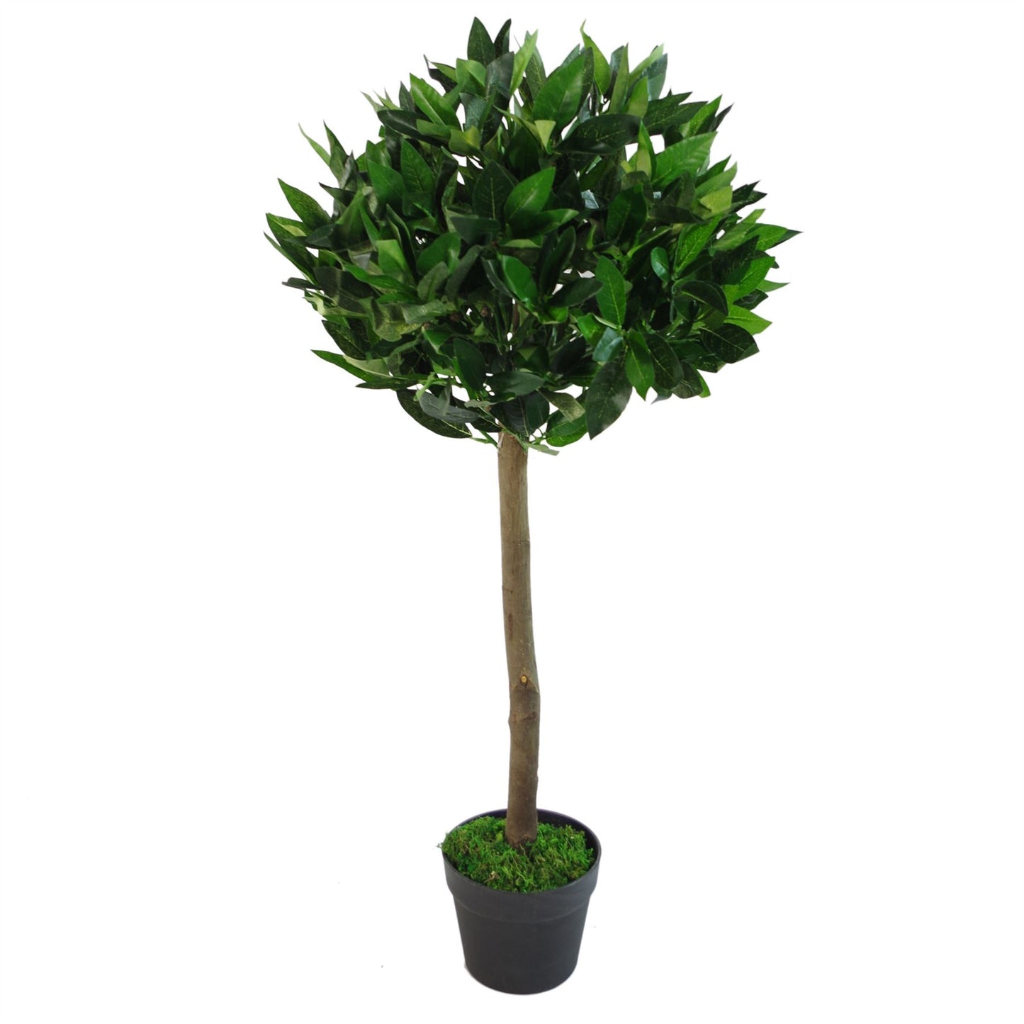 Pair of 90cm Small Artificial Bay Laurel Ball Trees – Plain Natural Trunks for Elegant Home or Office Décor