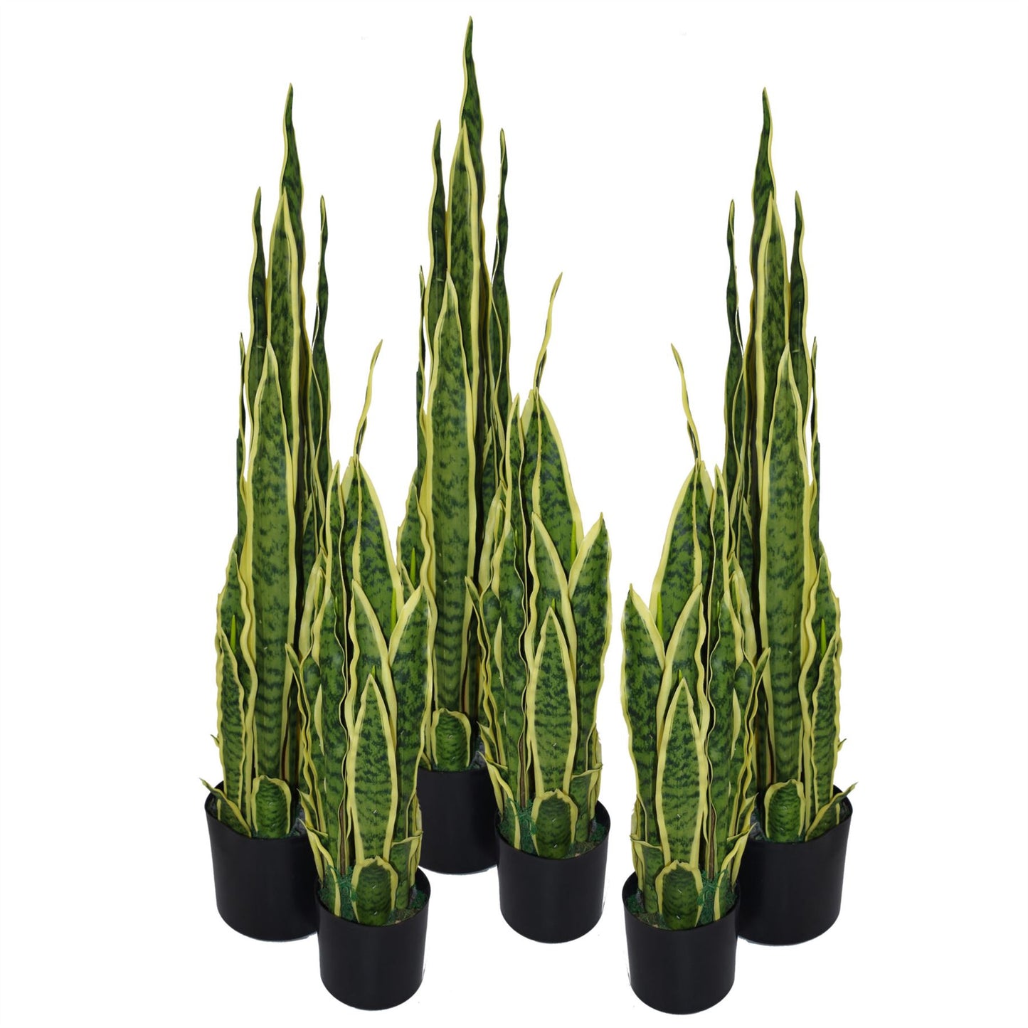 55cm Small Artificial Sansevieria Plant – Yellow & Green Faux Snake Plant