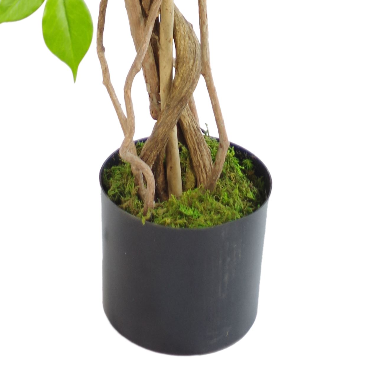 110cm Medium Artificial Purple Wisteria Tree with Gold Planter – Faux Indoor Tree