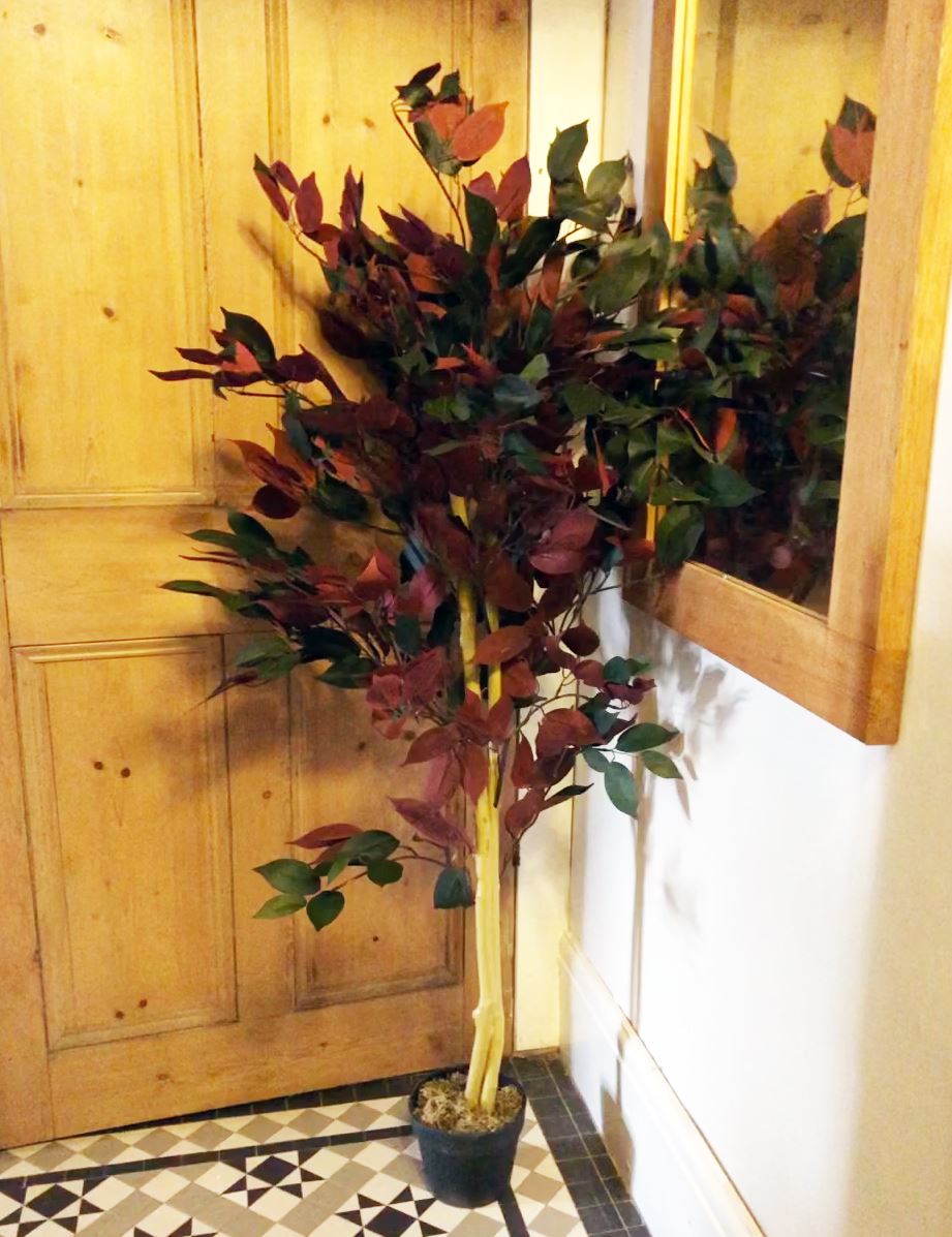 120cm Medium Artificial Dark Red & Green Ficus Tree – Realistic Capensia Style