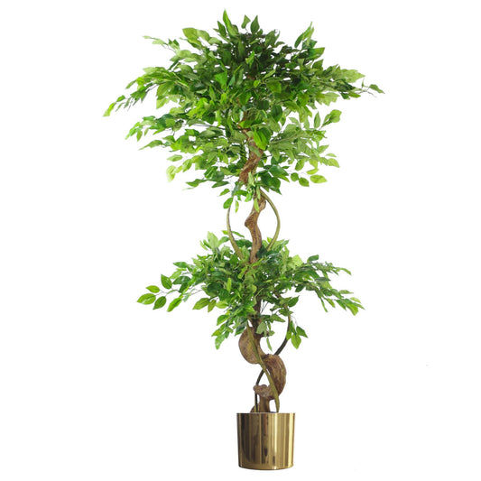 150cm Large Artificial Ficus Tree – Twisted Trunk Japanese Fruticosa Style with Gold Planter