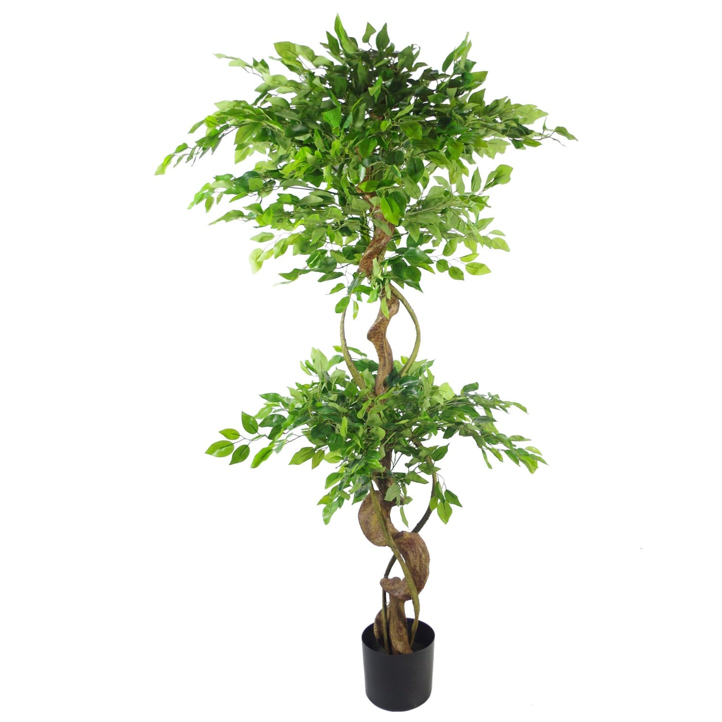 150cm Large Artificial Ficus Tree – Twisted Trunk Japanese Fruticosa Style with Gold Planter