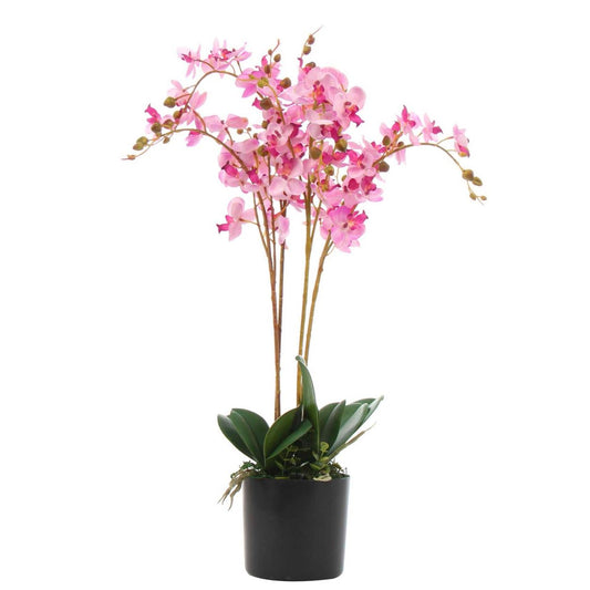 60cm Medium Artificial Pink Orchid Triple Stem in Black Pot - Luxury Faux Orchid Plant