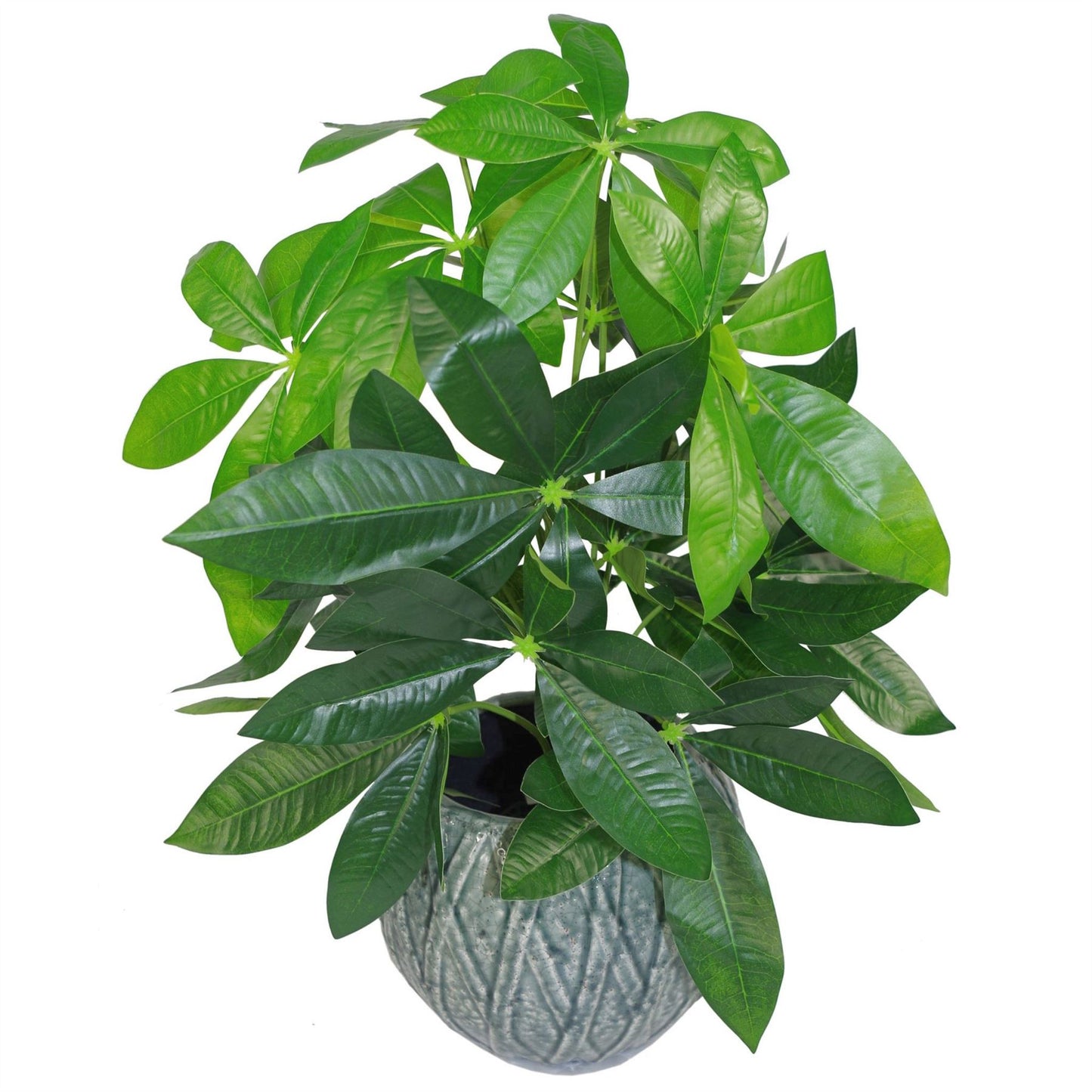 50cm Small Artificial Money Plant Pachira – Realistic Faux Plant