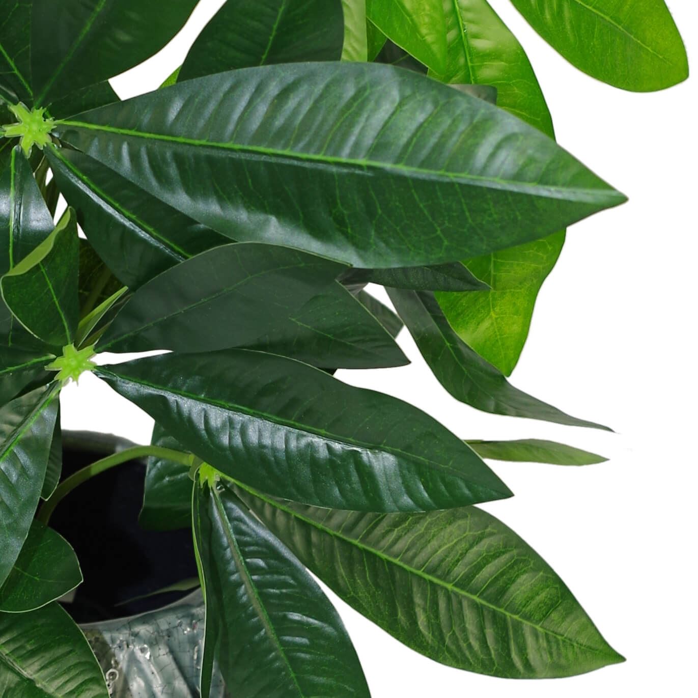 50cm Small Artificial Money Plant Pachira – Realistic Faux Plant