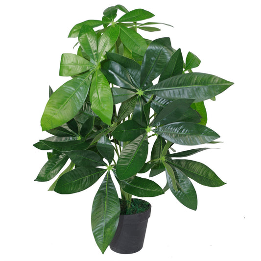 50cm Small Artificial Money Plant Pachira – Realistic Faux Plant