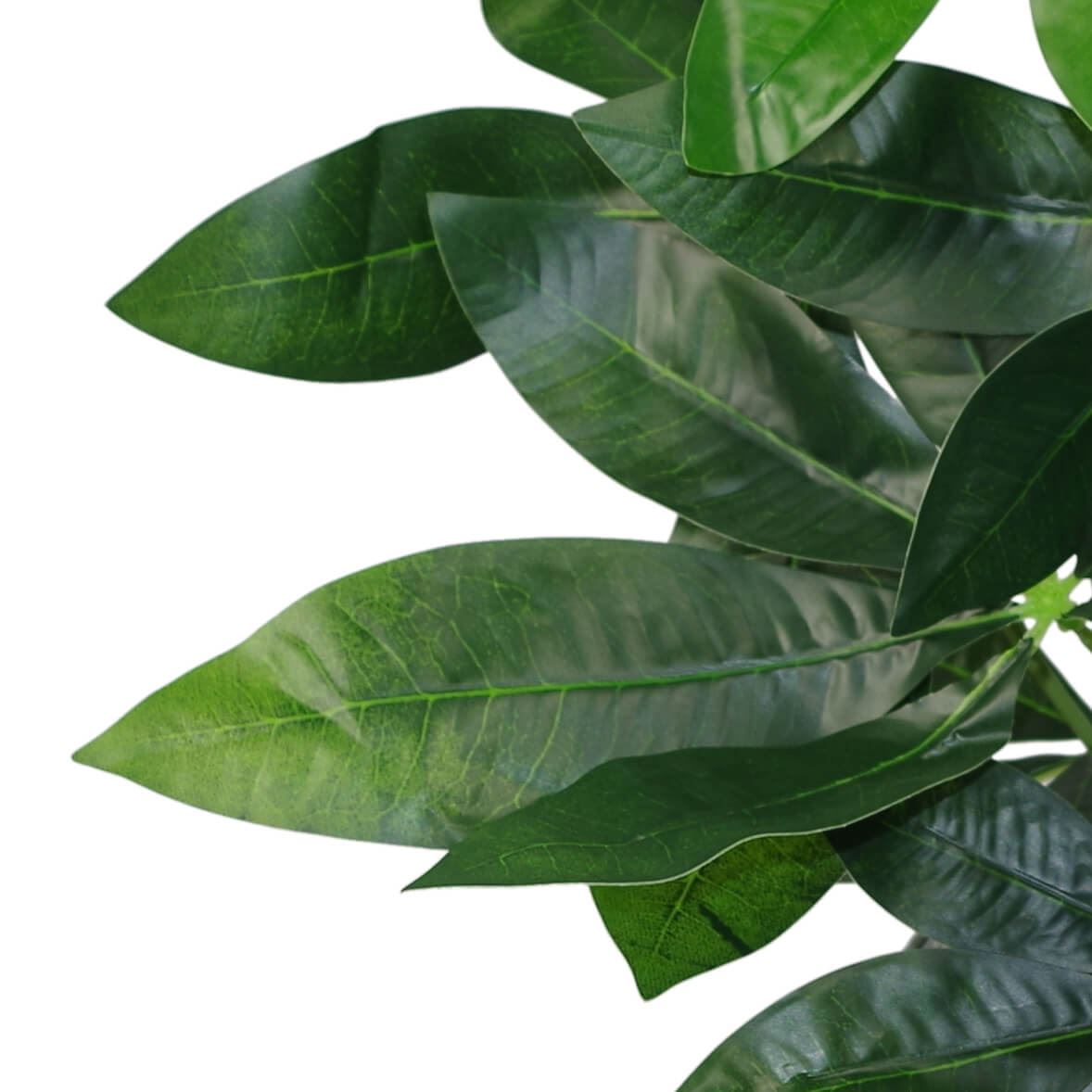 50cm Small Artificial Money Plant Pachira – Realistic Faux Plant