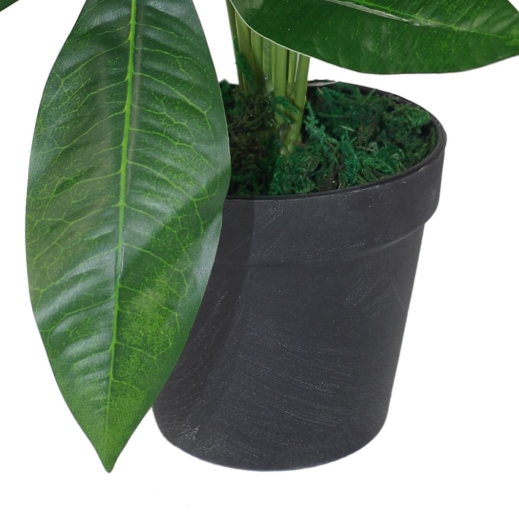 50cm Small Artificial Money Plant Pachira – Realistic Faux Plant