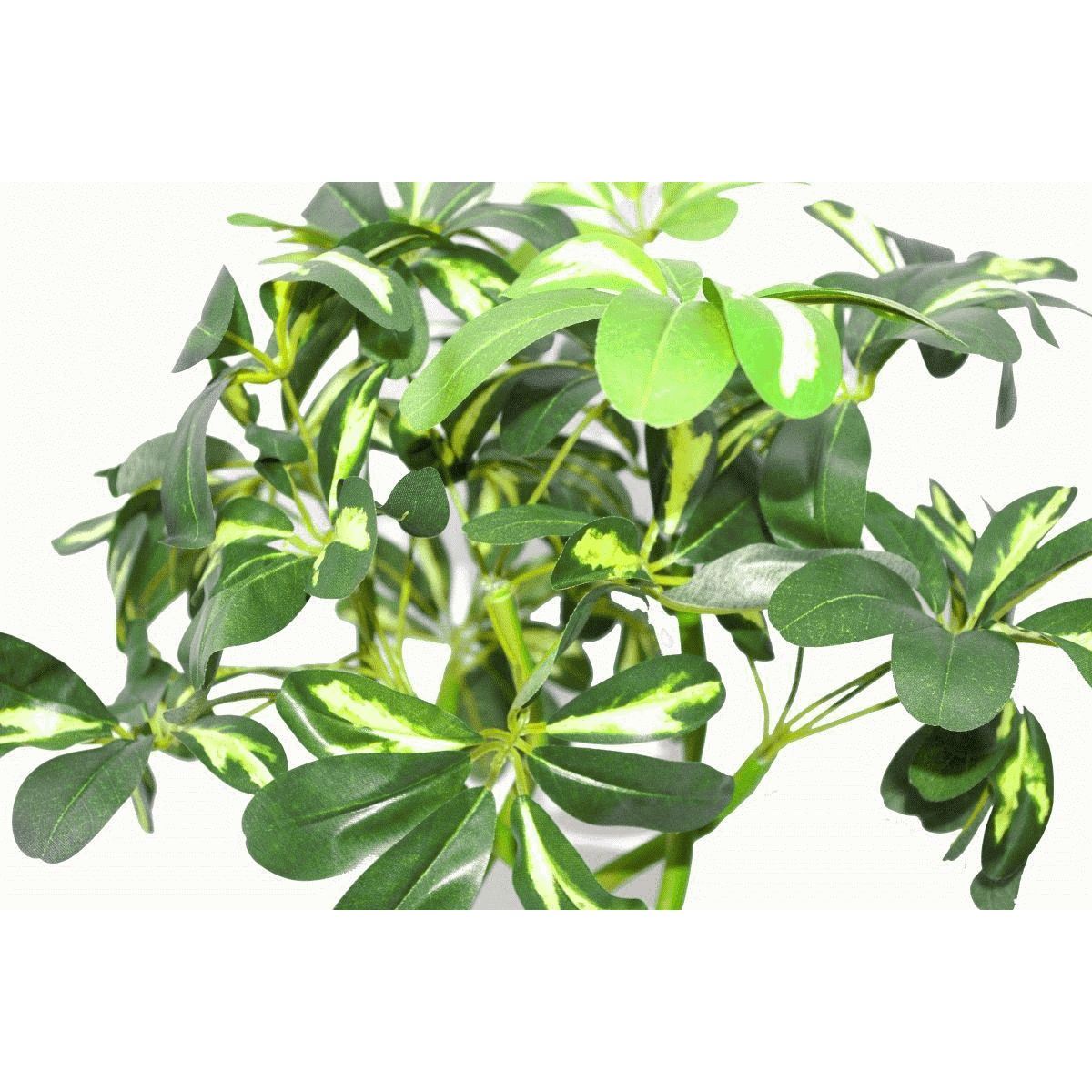 70cm Medium Artificial Umbrella Plant – Twisted Stem Schefflera Arboricola