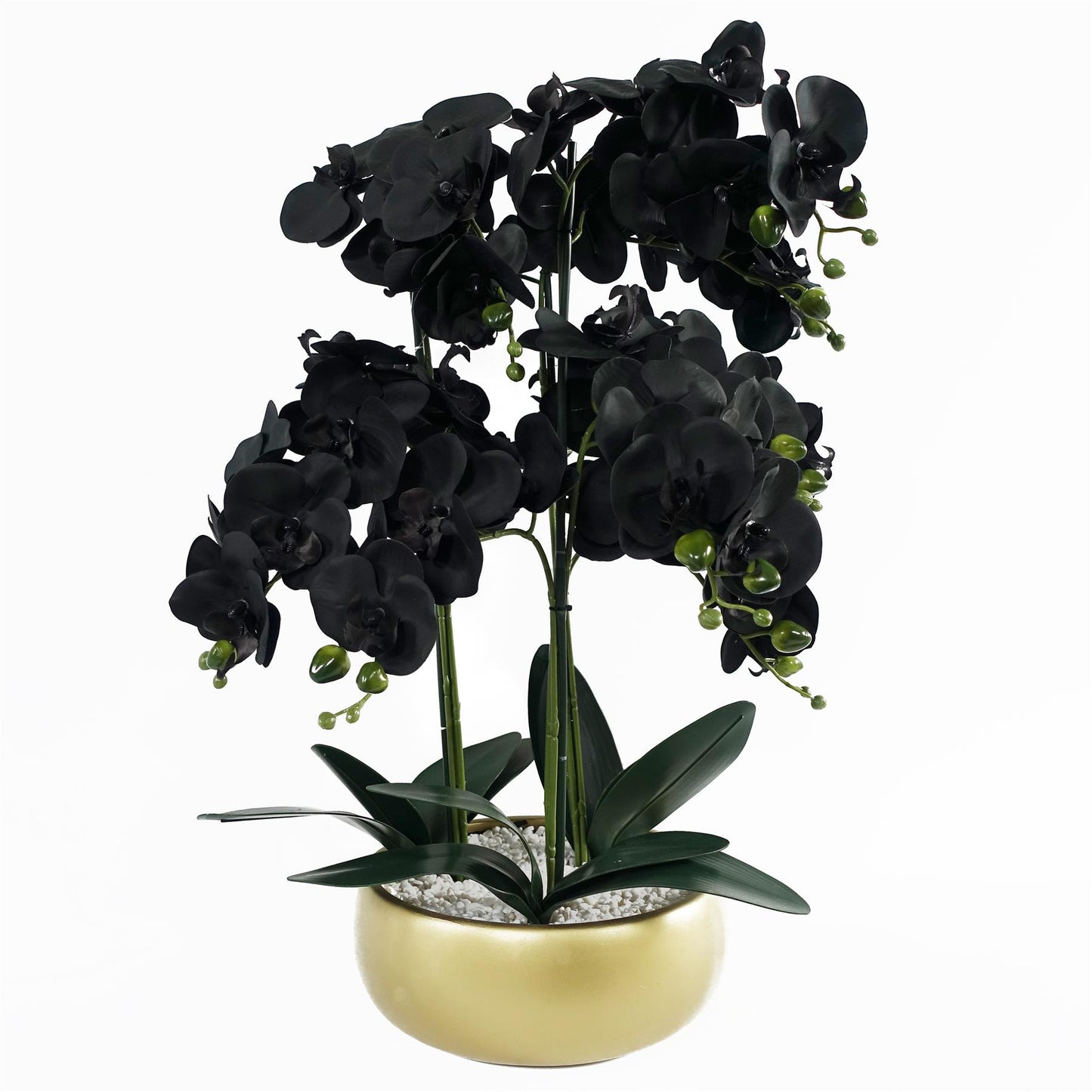 60cm Medium Black Artificial Orchid in Gold Ceramic Planter – Elegant Realistic Design