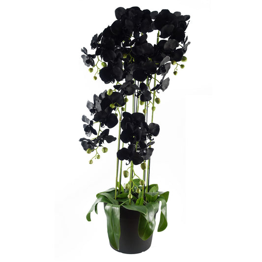 110cm Large Black Artificial Orchid Plant – 41 Real Touch Flowers for Modern Home Décor