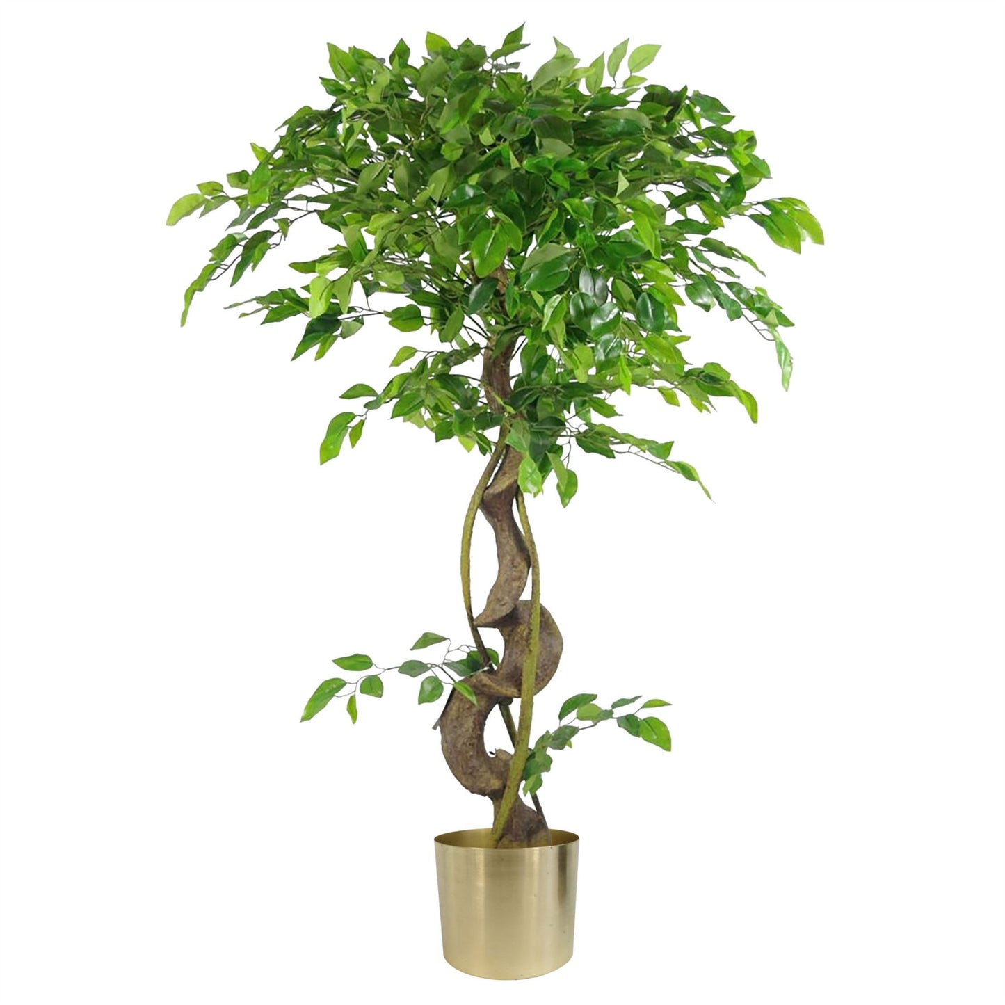 120cm Medium Artificial Ficus Tree – Japanese Fruticosa Style with Gold Planter
