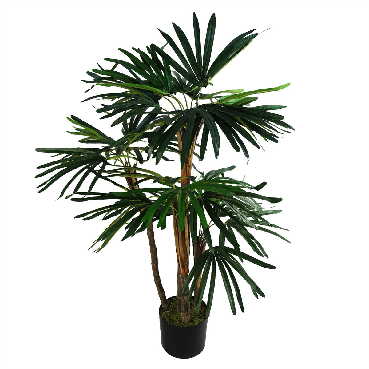 100cm Medium Artificial Raphis Palm Tree – Realistic Faux Indoor Palm