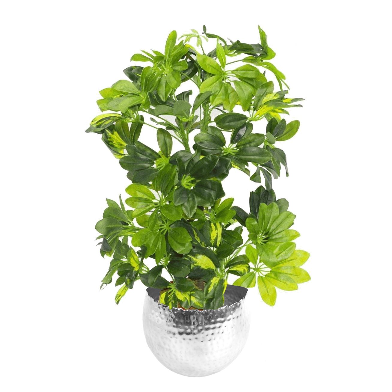 75cm Medium Artificial Gold Capella Umbrella Plant – Schefflera Arboricola with Silver Planter