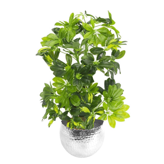 75cm Medium Artificial Gold Capella Umbrella Plant – Schefflera Arboricola with Silver Planter