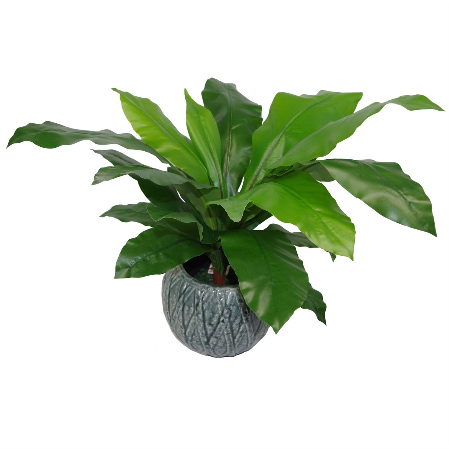 60cm Medium Artificial Bird’s Nest Fern – Bushy Faux Indoor Fern Plant
