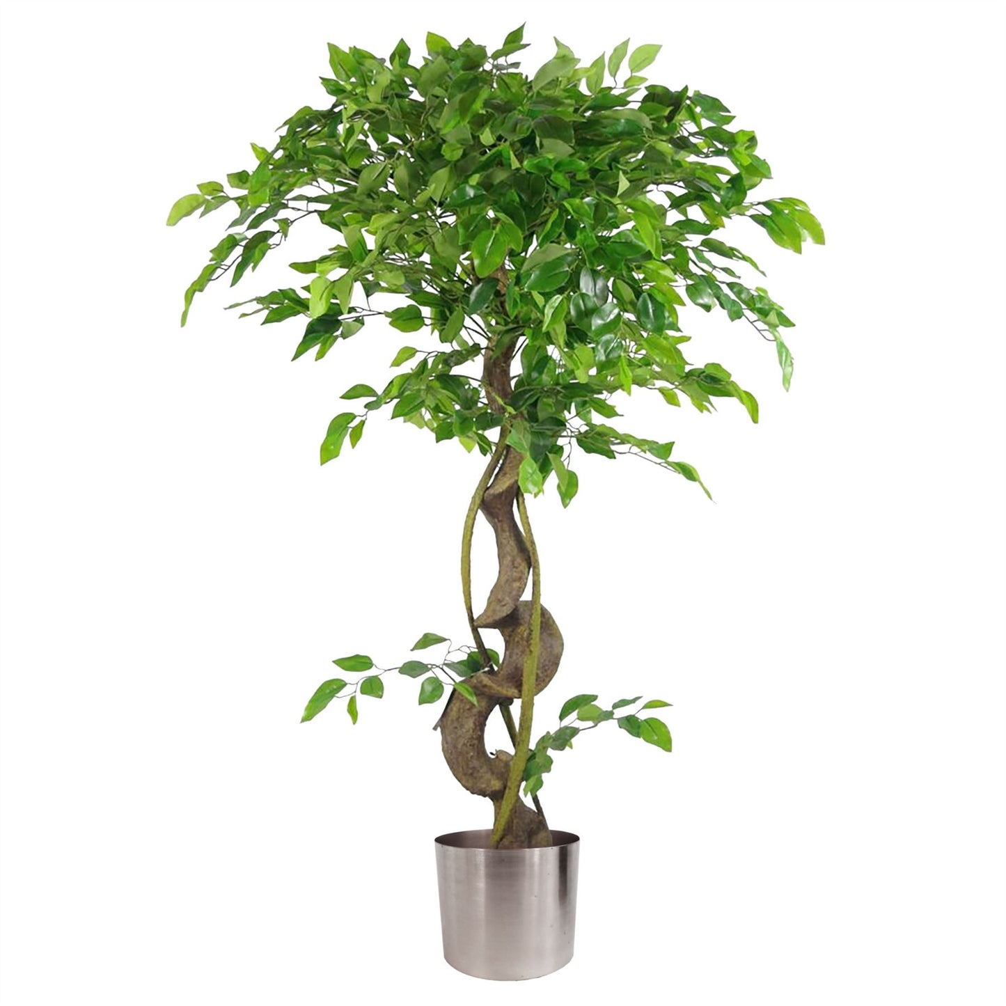120cm Medium Artificial Ficus Tree – Japanese Fruticosa Style with Silver Planter