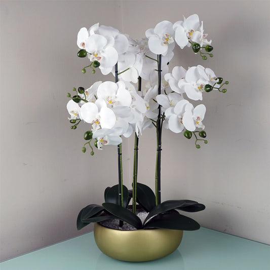 60cm Medium White Artificial Orchid in Gold Ceramic Planter – Luxurious Realistic Display