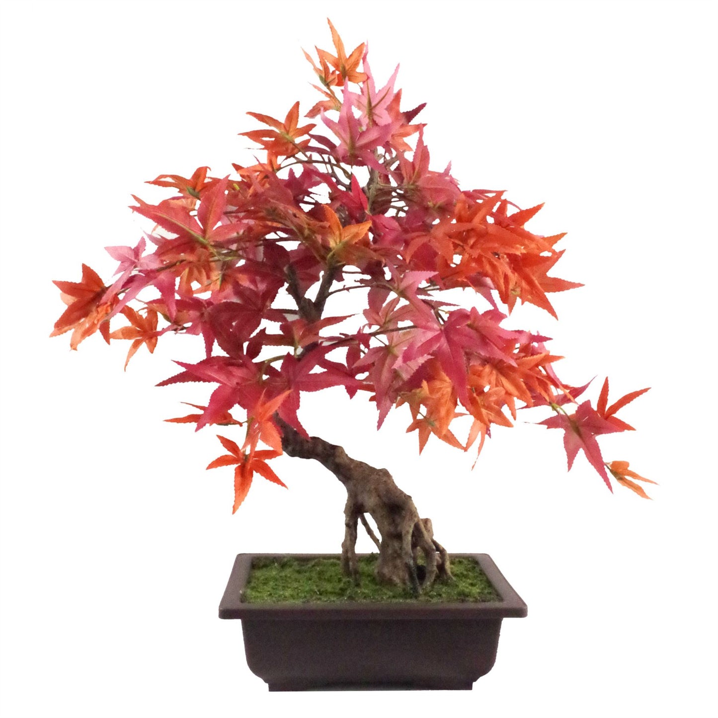 50cm Small Red Maple Artificial Bonsai Tree – Realistic Faux Bonsai with Decorative Planter