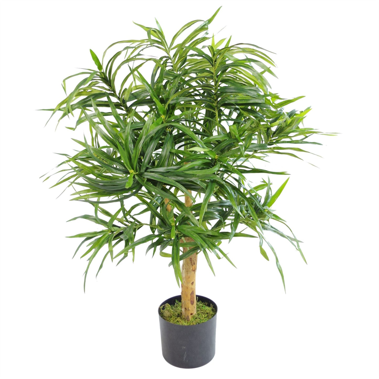 100cm Medium Artificial Dracaena Tree - Premium Tropical Plant