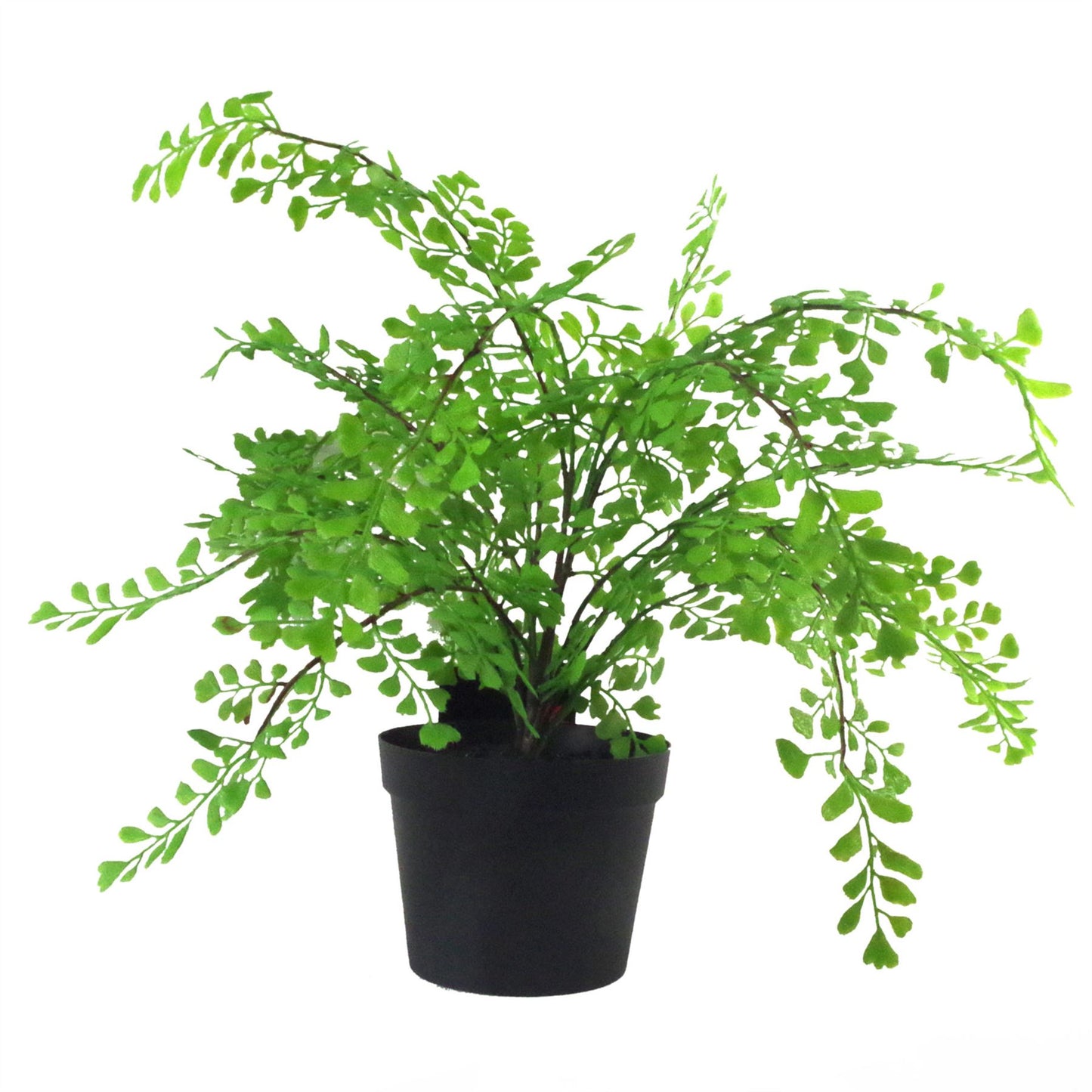 35cm Small Artificial Southern Maidenhair Fern – Potted Faux Fern Plant
