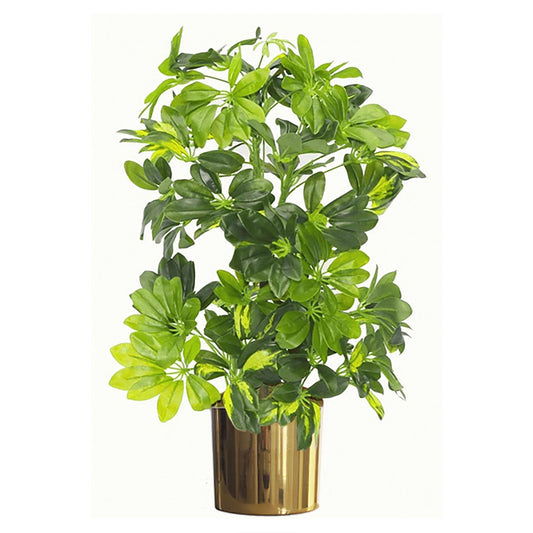 75cm Medium Artificial Gold Capella Umbrella Plant – Schefflera Arboricola with Gold Planter