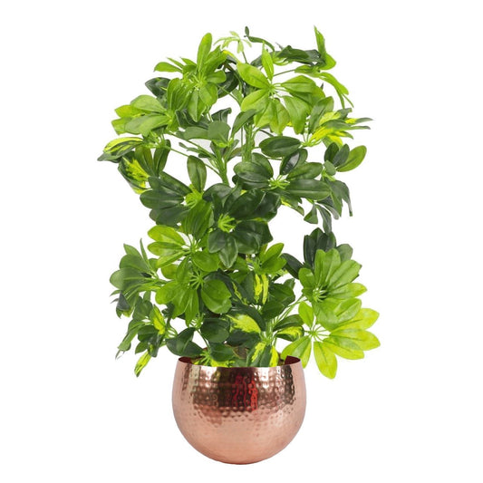 75cm Medium Artificial Gold Capella Umbrella Plant – Schefflera Arboricola with Copper Planter