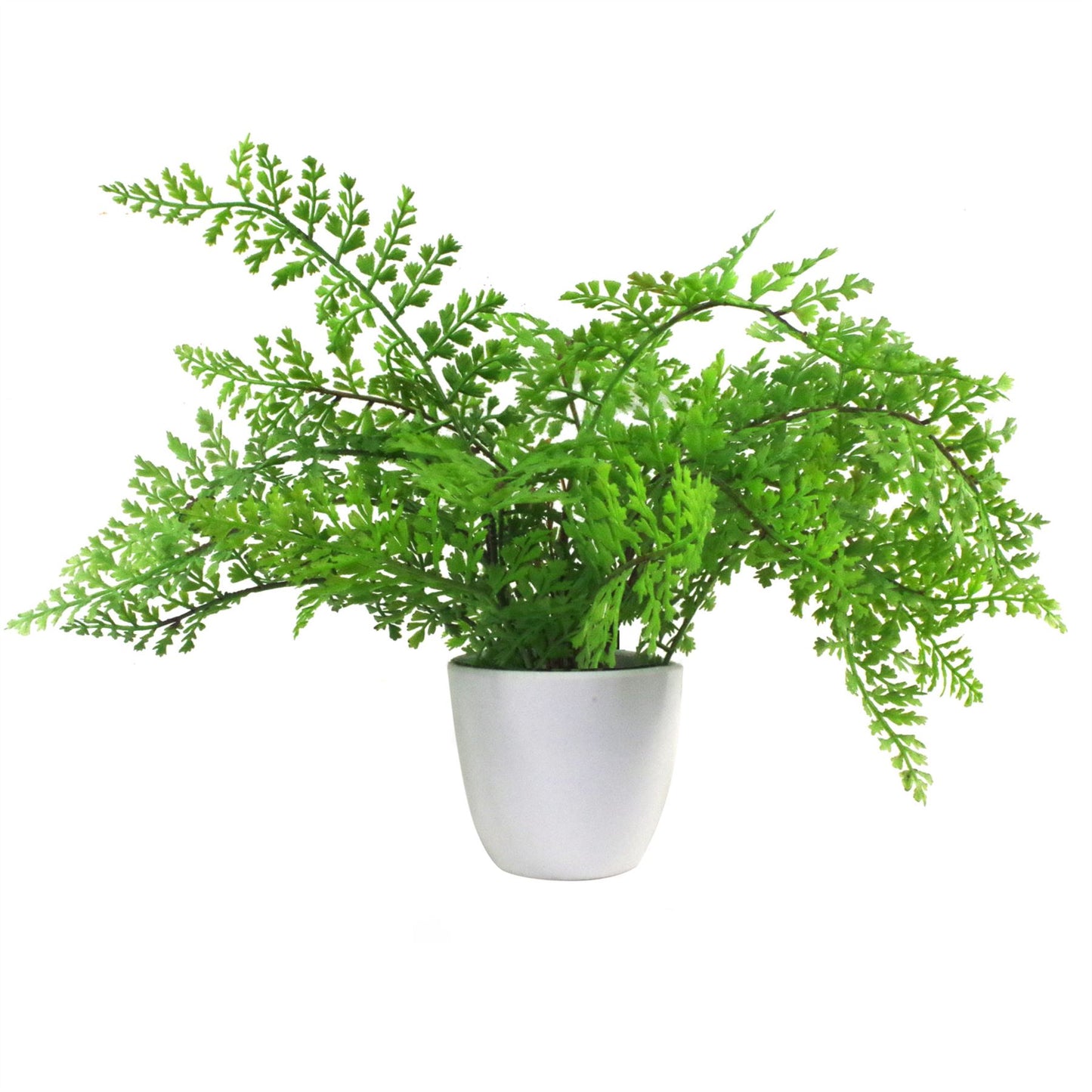 30cm Small Artificial Royal Fern – Potted Faux Fern in White Planter