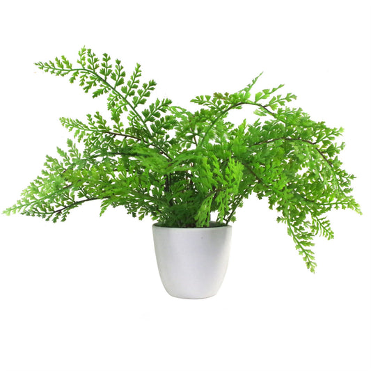 30cm Small Artificial Royal Fern – Potted Faux Fern in White Planter