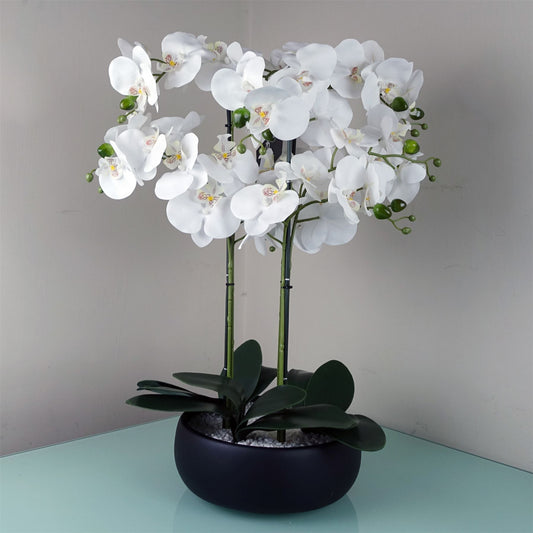 60cm Medium White Artificial Orchid in Black Ceramic Planter – Elegant Realistic Design