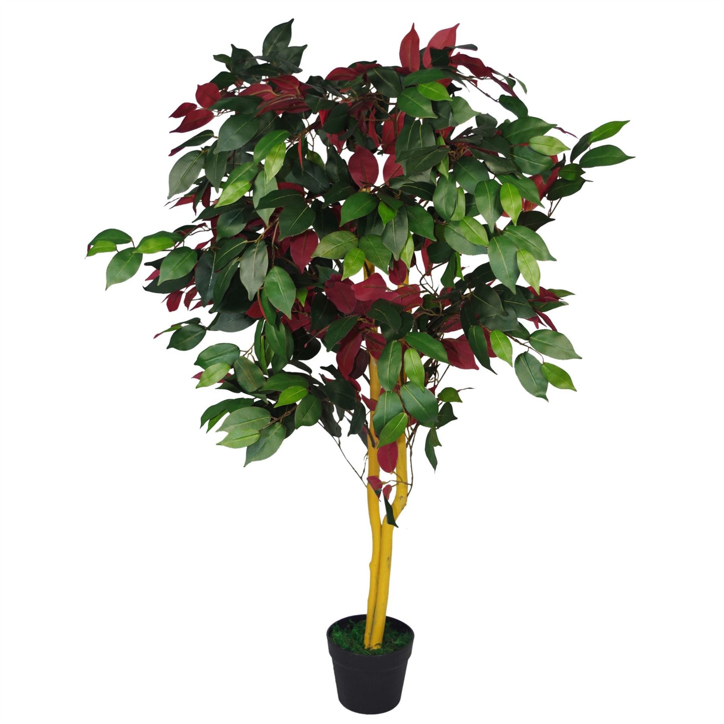 120cm Medium Artificial Capensia Ficus Tree – Realistic Red & Green Foliage Indoor Plant