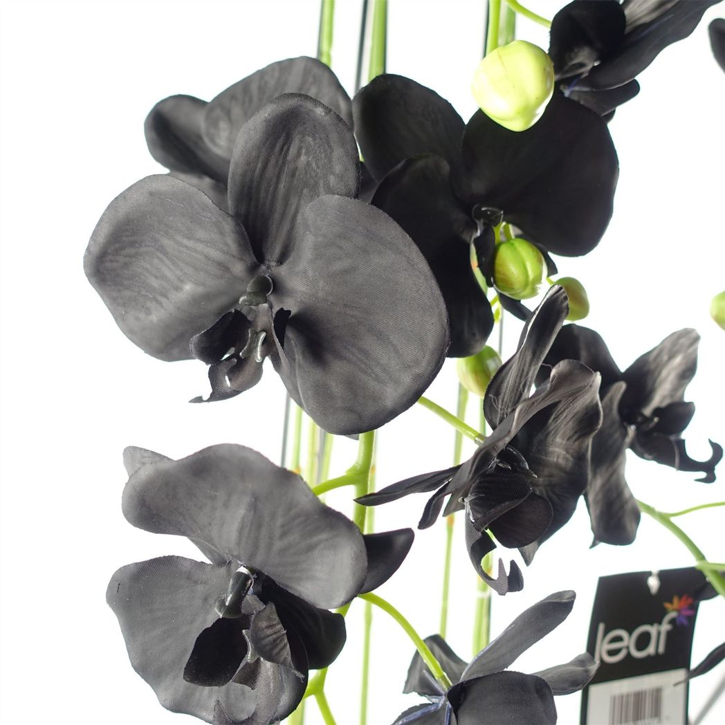 110cm Large Black Artificial Orchid Plant – 41 Real Touch Flowers for Modern Home Décor