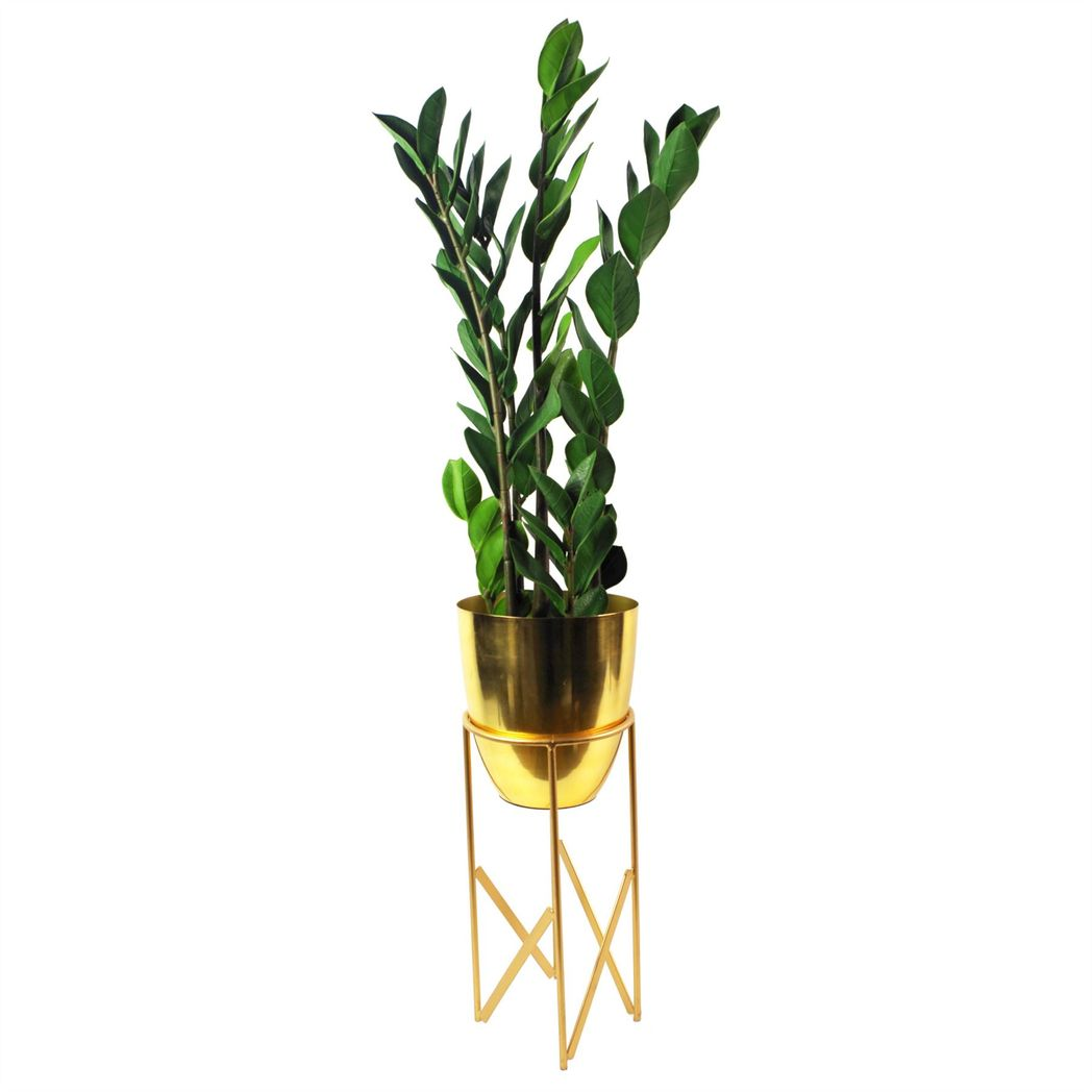 75cm Medium Artificial Zanzibar Gem Zamioculcas Plant – Faux ZZ Succulent